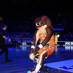 260112-img_0021 null