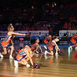 260130-img_0016 null