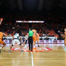 260130-img_0030 null