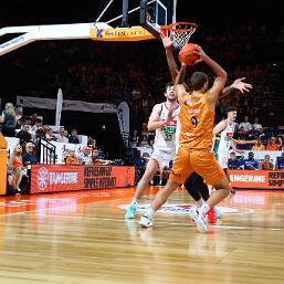 260130-img_0043 null